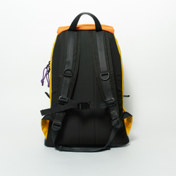 Рюкзак Citypack Color Block желтый