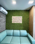 Панель мох с мюленбекией на резиновой основе 50Х50 см.