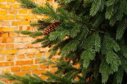 Искусственная ель Сказочная с шишками 2,5 м., 100% литая хвоя, ПромЕлка (31250)