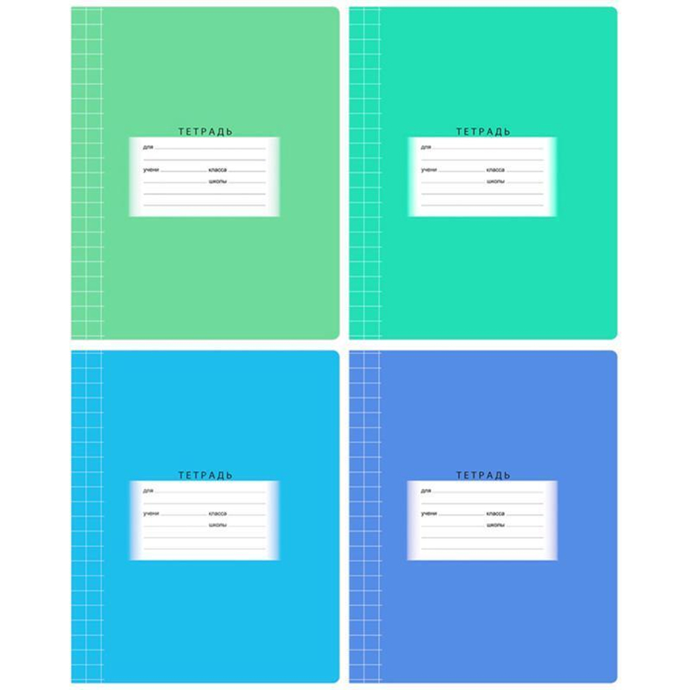 Тетрадь школьная А5 12л крупная клетка "Школьная", эконом. 290517 (BG)