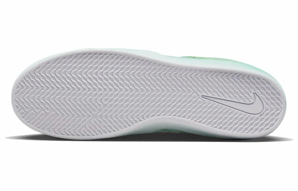 Кроссовки Nike Sb Ishod