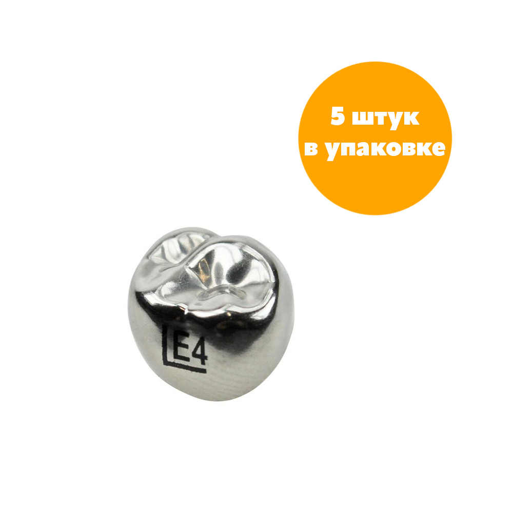 Второй верхний левый моляр, размер 4 (E-UL-4)