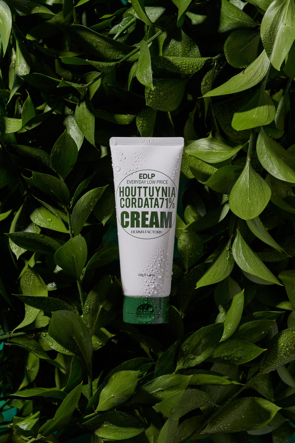 Derma Factory Увлажняющий крем для лица с экстрактом цветка хауттюйнии HOUTTUYNIA CORDATA 71% CREAM