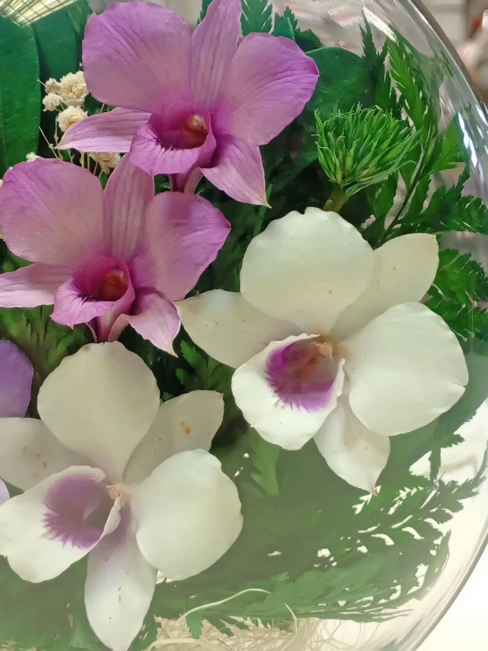 натуральные цветы в стекле, вакуум