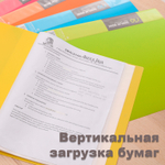 Папка с файлами DELI "Rio" на 30 вкладышей, ассорти