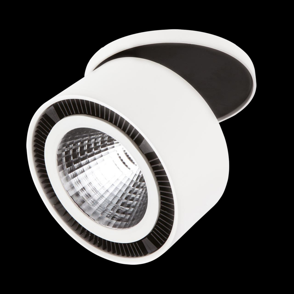 Спот Lightstar 214806
