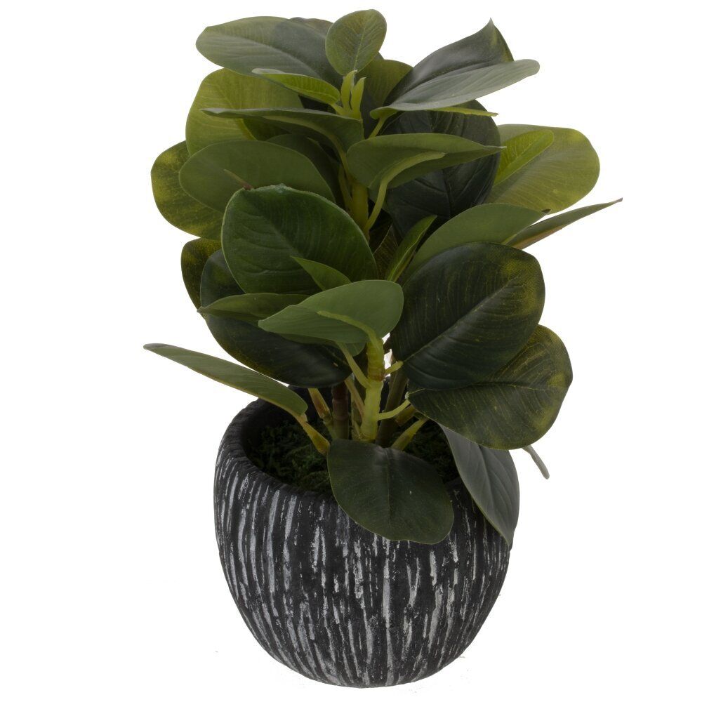 GAEM Цветочная композиция, L10 W10 H25 см