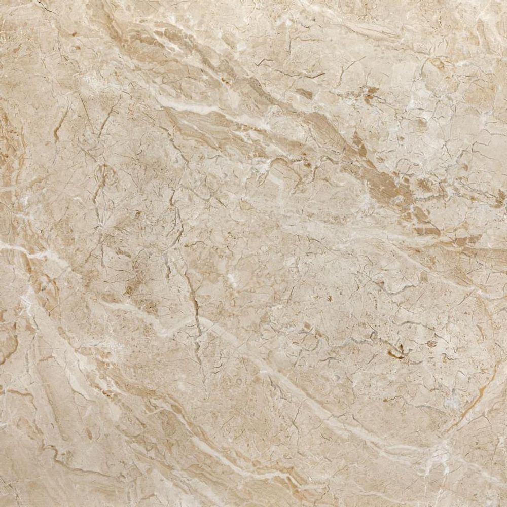 Varmora Marble Geona Ivory High Glossy 120x120