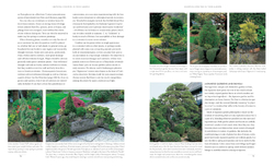 Gardening with conifers