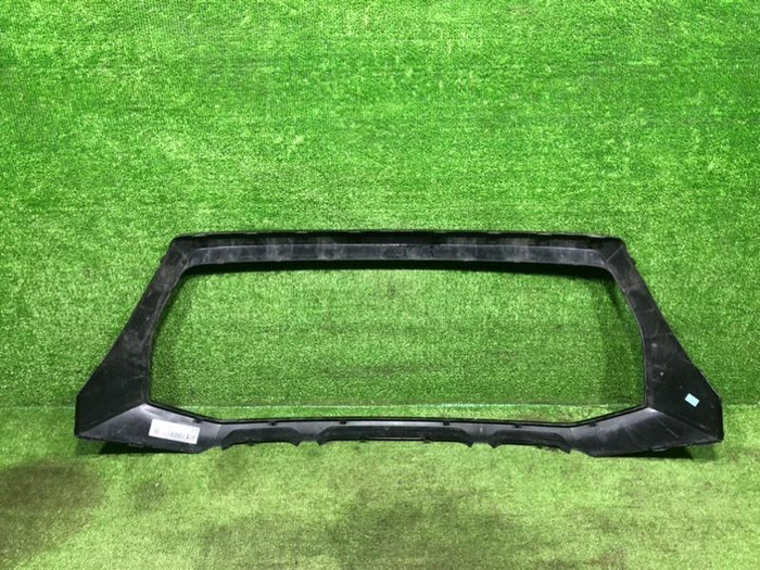 Накладка решетки радиатора Audi RS Q8 (2020-н.в.)