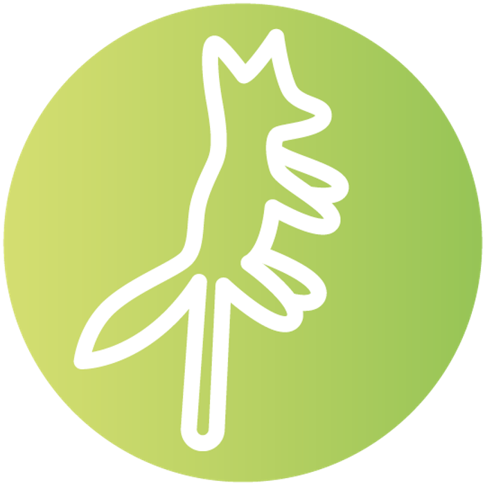 Театр Теней