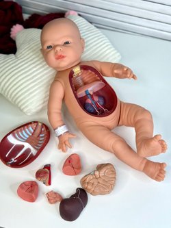 Кукла Baby Anathomic Nines 45см (N60409)