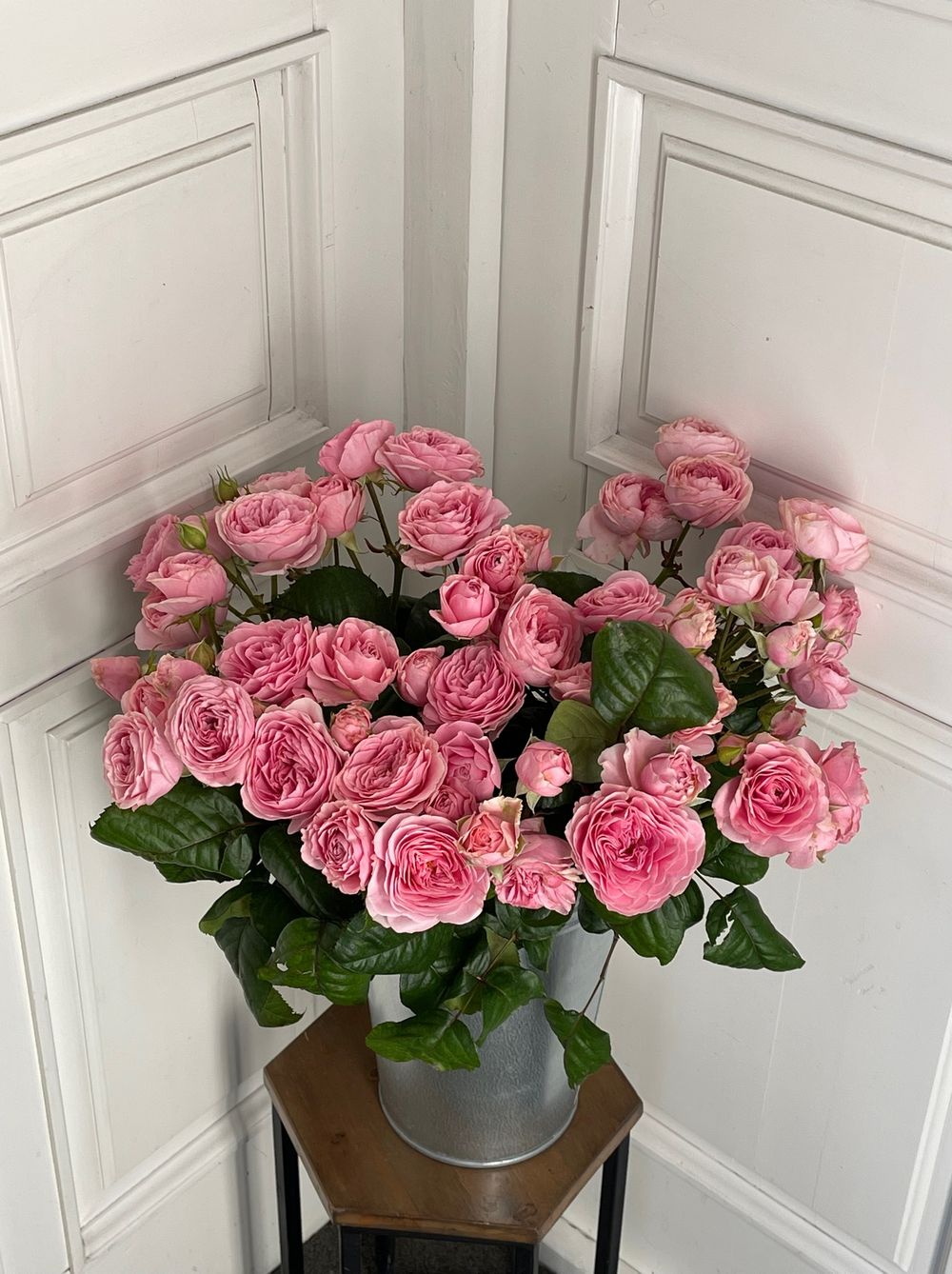 Пионовидная кустовая роза сорт ФАТАЛ