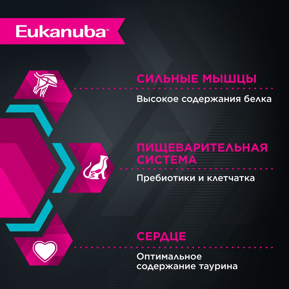 Пауч Eukanuba Senior 7+ Top Condition для взрослых кошек старше 7 лет, с курицей в соусе Пауч Eukanuba Senior 7+ Top Condition для взрослых кошек старше 7 лет, с курицей в соусе