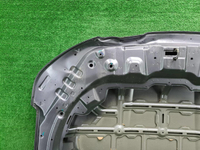 Капот Chery Tiggo 7 Pro (2020-н.в.)