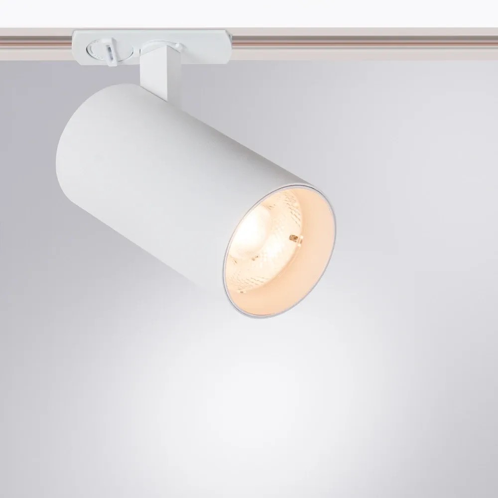 Трековый светильник Arte Lamp BENE