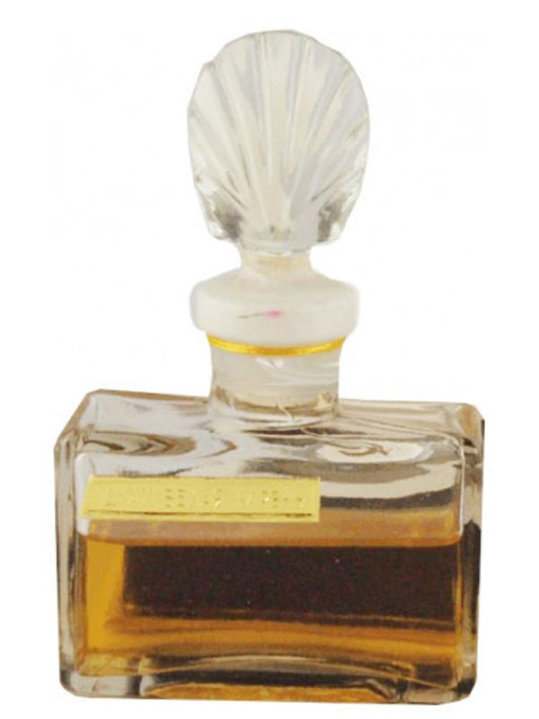 Severnoye Siyanie Belaya Siren Белая Сирень