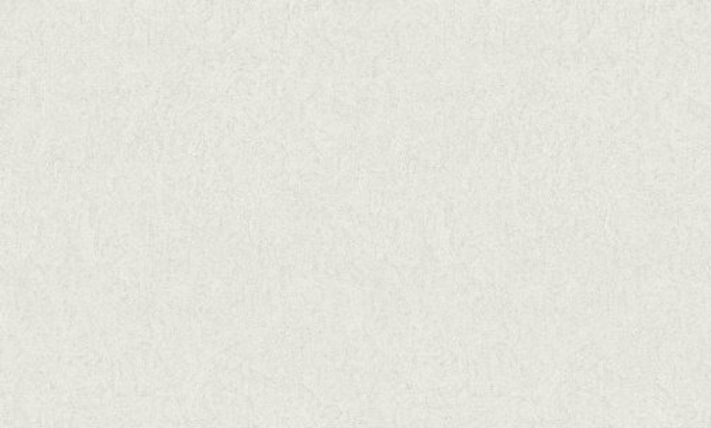 Обои Bruno Zoff Silver 60118-1 1.06x10