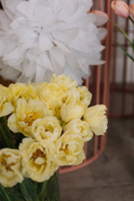 Flower Garden Party