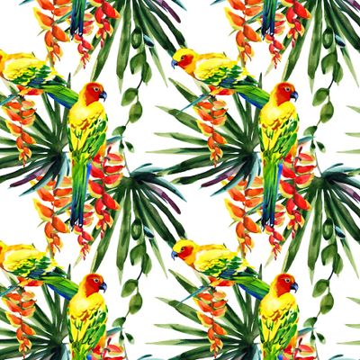 тропический лес