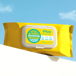 Ariul The Perfect Cleansing Tissue Plus 100 ea