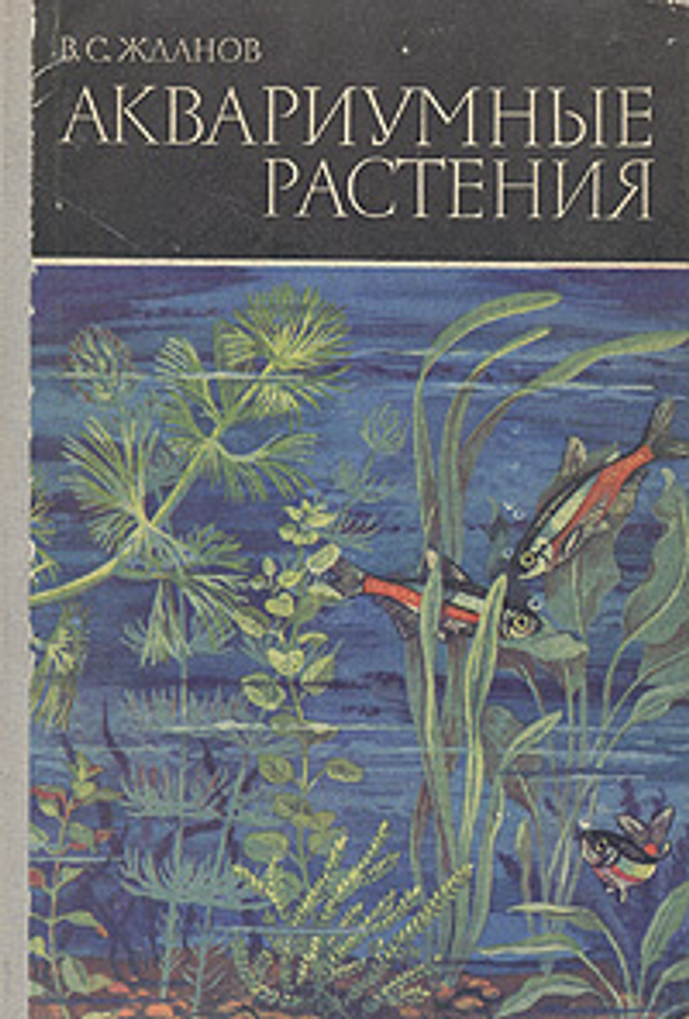 Аквариумные растения