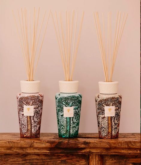 Morondo, аромадиффузор c палочками Sacred Trees, Baobab Collection