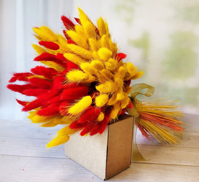 Букет сухоцветов из лагуруса красного и желтого