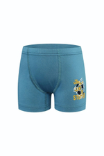 Боксеры для мальчиков 3340 р.134 (9-10 лет) в ассорт. (BAYKAR)