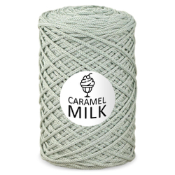 Шнур Caramel Milk, 3мм, 300м, 100% полиэфир (1 шт.)