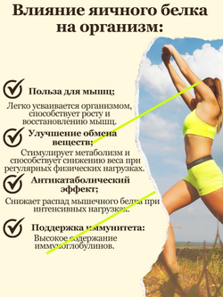 Белок яичный сухой пониженной взбиваемости, БЕЗ ДОБАВОК 500гр МилоБио