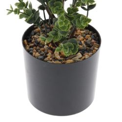 GAEM Цветочная композиция, L20 W20 H68 см