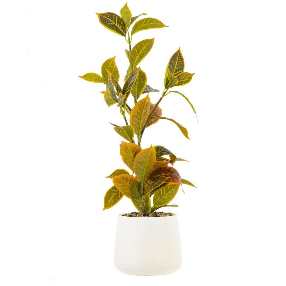 GAEM Цветочная композиция "Кодиеум", L26 W36 H60 см