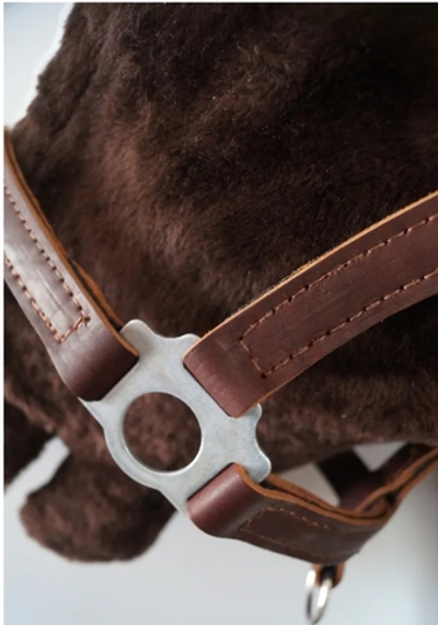 Недоуздок кожаный коричневый (на тяжеловозов)