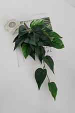 Куст фикуса ампельный / Арт 6375