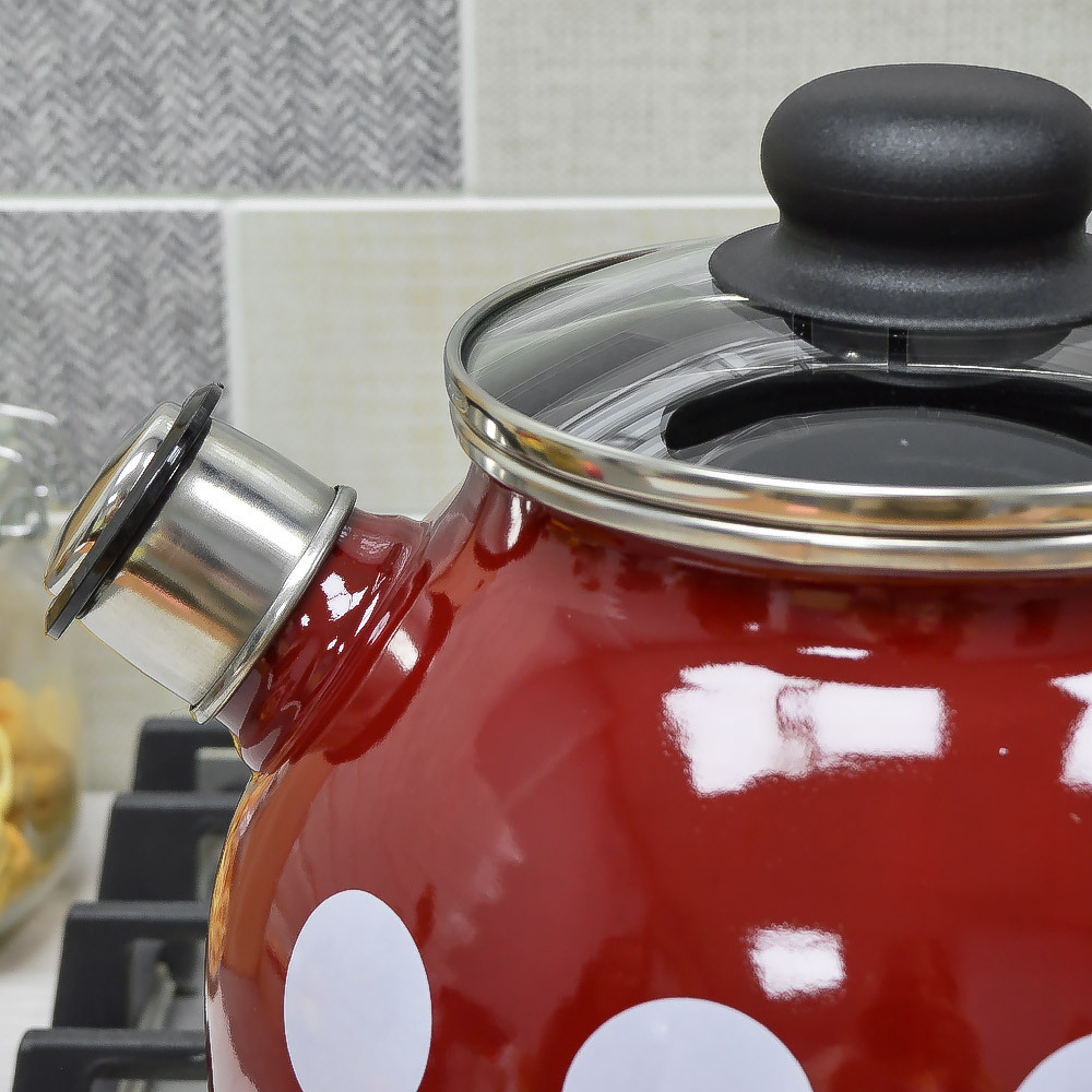 Чайник 3л со свистком с рисунком, вишневый