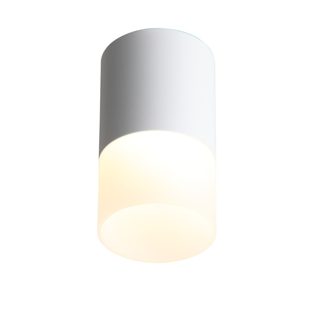 ST100.502.10 Светильник потолочный Белый LED 1*10W 3000K 780Lm Ra&gt;80 120° D78xH135 170-240V Накладные светильники