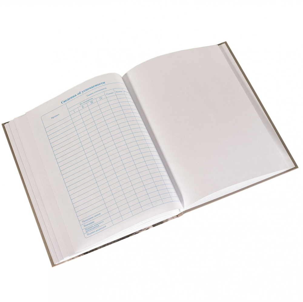 Дневник школьный Alingar 1-11 кл., 40л., 7БЦ, глянцевая ламинация, тиснение фольгой "Золото",17,0 см. * 21,6 см, "Original"