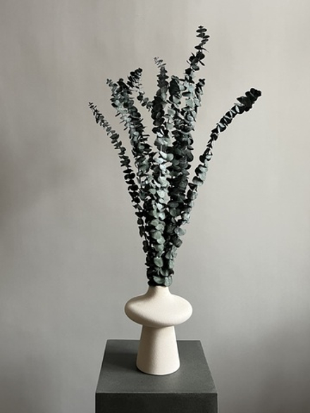 Эвкалипт Бейби Блю стабилизированный болотный