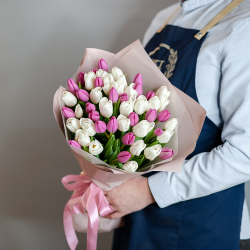 51 бело-розовый тюльпан в оформлении