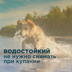 Ошейник от блох и клещей Форесто для собак более 8кг