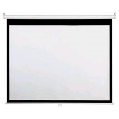 Экран для проектора Draper Targa 02118006