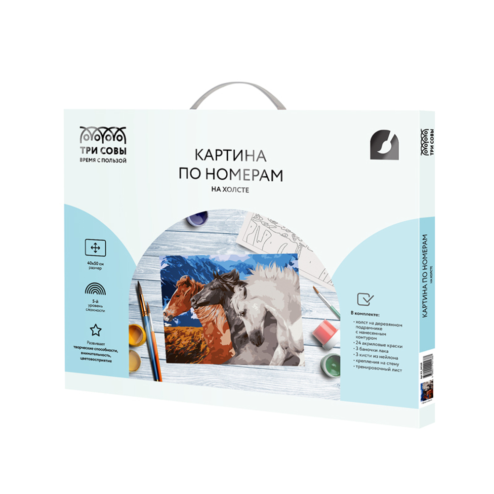 Картина по номерам на холсте "Тройка коней", 40*50, с акриловыми красками и кистями, ТРИ СОВЫ