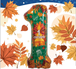 Шар цифра 1 на День знаний