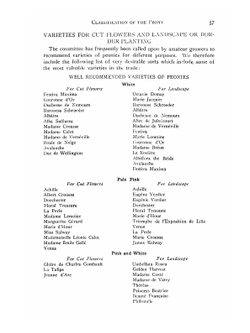 Classification of the peony | Leon Dexter Batchelor