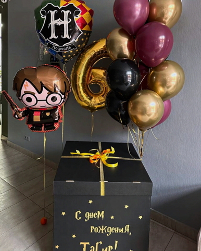 Набор шаров Гарри Поттер и Хогвартс