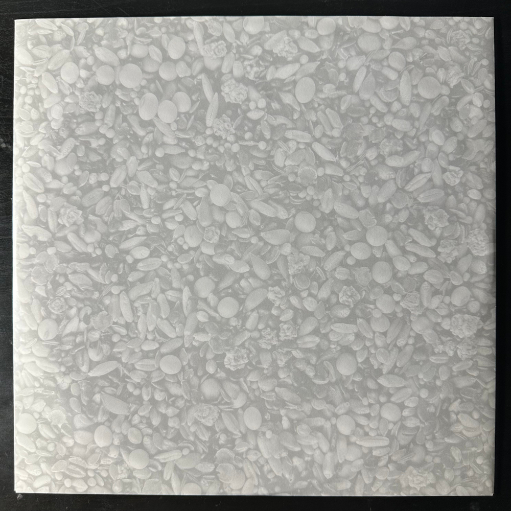 Океан Ельзи ‎– Земля (Германия 2013г.)