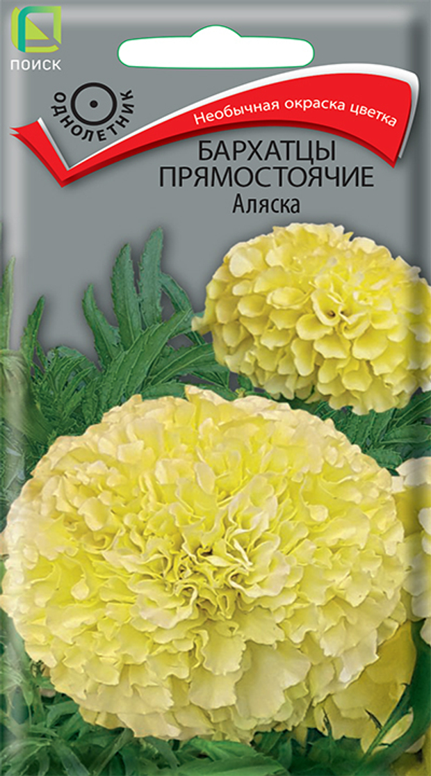 Бархатцы прямостоячие Аляска