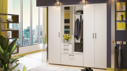 Прихожая «Витра» №2