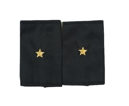Фальшпогоны черные вышитые серые звезды мл. лейтенант